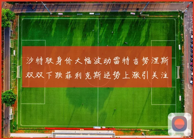 沙特联身价大幅波动雷特吉努涅斯双双下跌菲利克斯逆势上涨引关注