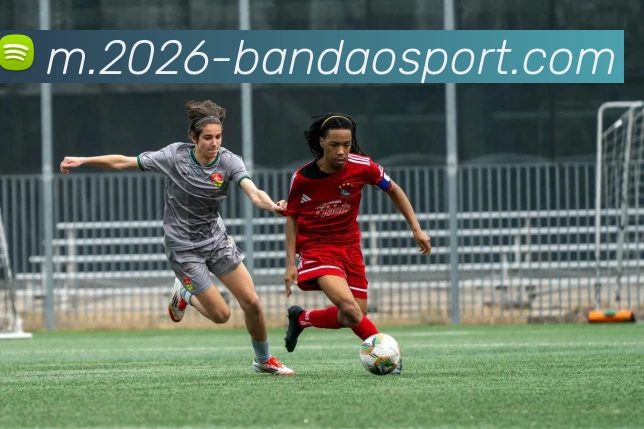 App Interface Preview