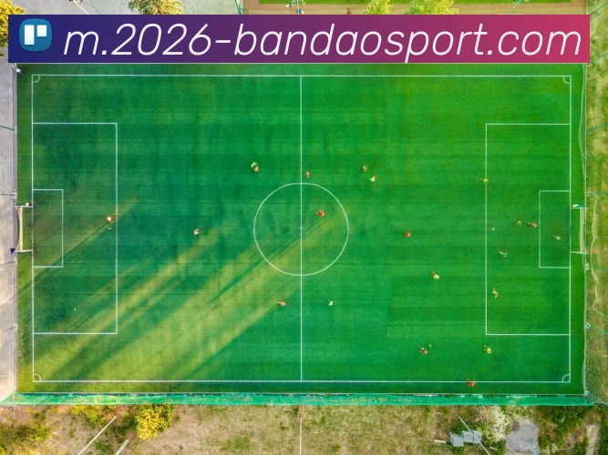 半岛体育APP 封面图